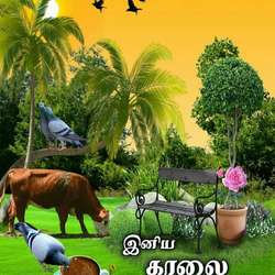 sathish0679's Chat & Dating Profile